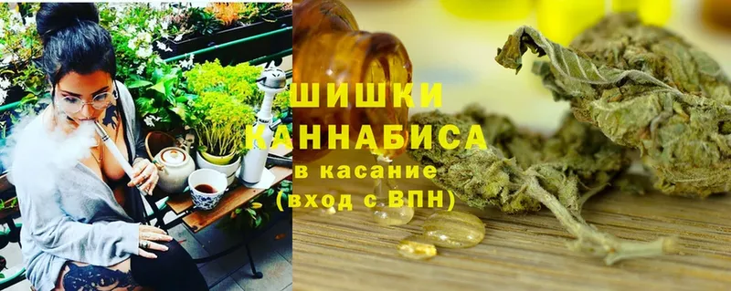 где найти наркотики  Дубовка  Бошки марихуана сатива 